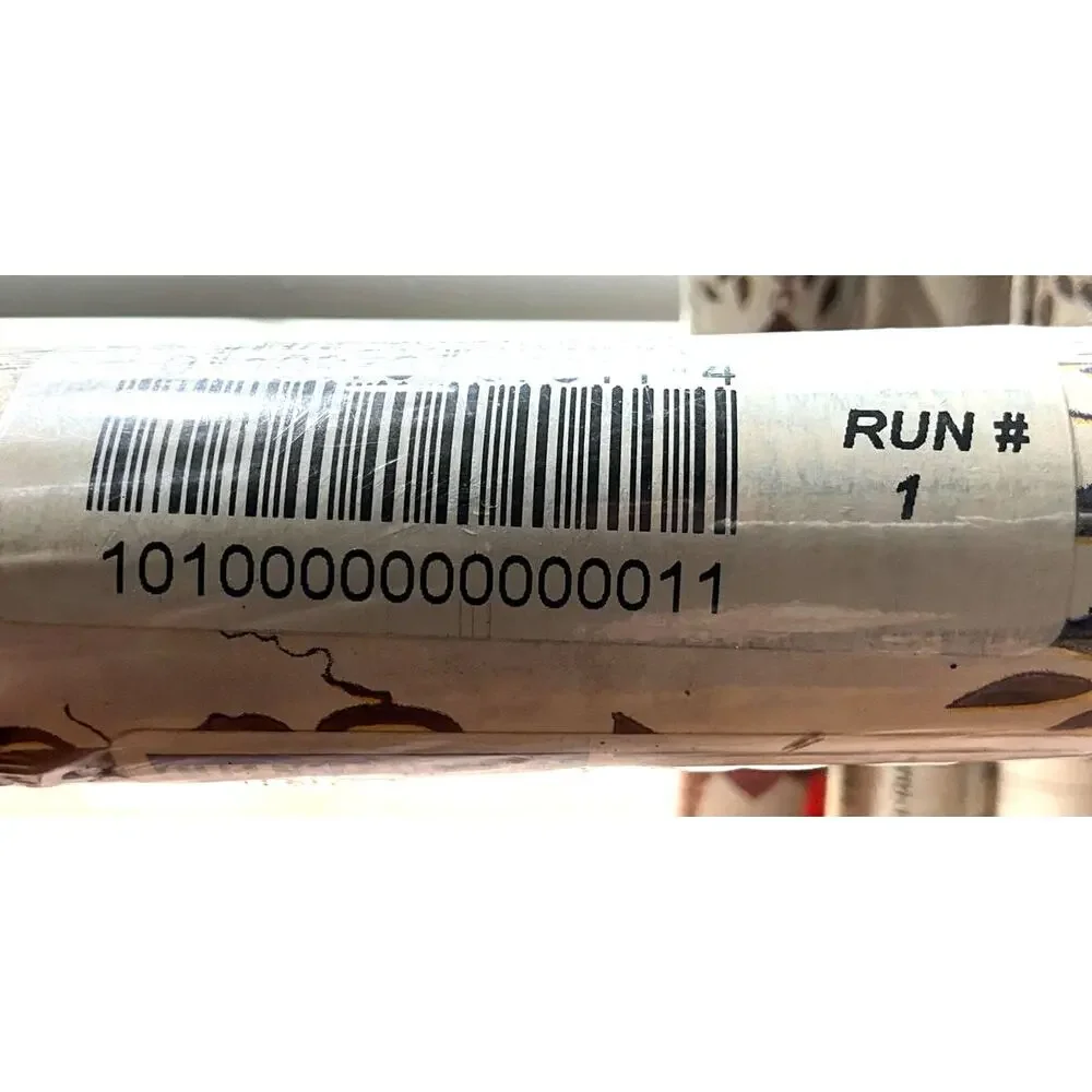 Chesapeake Wallpaper Border 5 Rolls Sealed 25yds Bird Houses & Birds AV6701-1